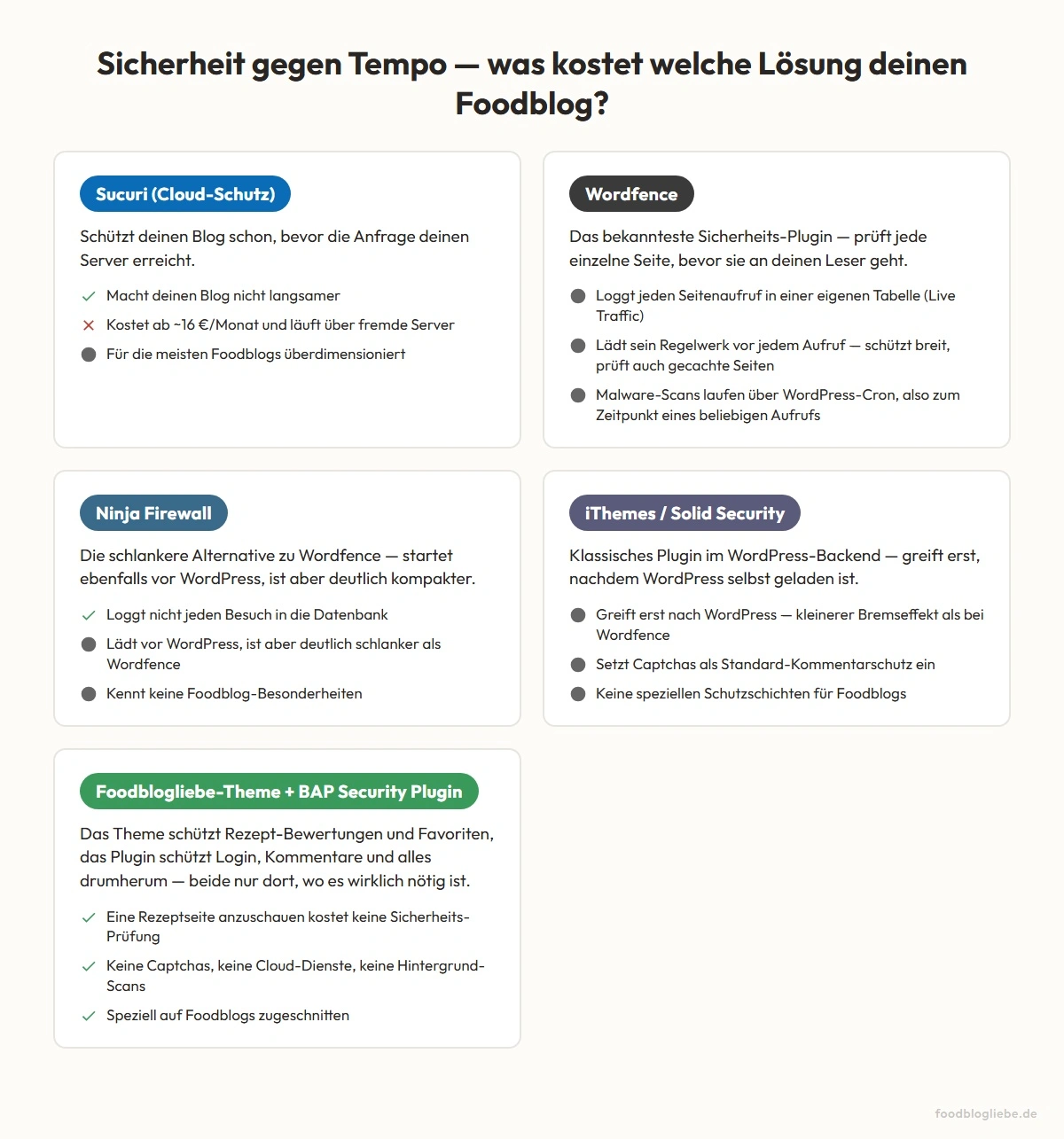 Sicherheit gegen Tempo, wo läuft welche Lösung im Aufruf-Weg deines Blogs und was kostet sie